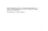 INFORMACIÓN Y BIENVENIDA A LOS RESIDENTES DE · PDF fileRobbins Pathologic Basis of Diseases, 7ª Ed 2004 - ROSAI. Ackerman’s Surgical Pathology, 9ª Ed 2004 - STENBERG. Diagnostic