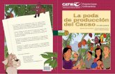 La poda de producción del Cacao - n Escuelas de Campo № 4. - 3 Qué bueno que ... Las primeras ramas salen de la horqueta principal y ... pudriciones en los cortes de troncos, ramas
