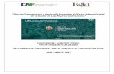 ”Plan de Ordenamiento y Desarrollo Sostenible del Casco ... · PDF fileambiente, en vista del alto incremento del parque automotor, sumado a la concentración del equipamiento público