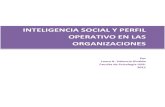 INTELIGENCIA SOCIAL Y PERFIL OPERATIVO EN LAS · PDF file1 1. Inteligencia social 1.1 Qué se entiende por inteligencia social. La inteligencia social se puede definir como Un caso