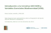 GEO BON - Introducción a la iniciativa GEO BON y Variables ... · PDF fileControl de plagas Motores de Cambio Global Clima Ciclos biogeoquímicos ... - Manual GEO BON - Estándares