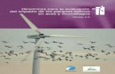Directrices para la evaluación del impacto ... - SEO/BirdLife · PDF fileSEO/BirdLife, representante de BirdLife International en España, es una asociación científica y conservacionista