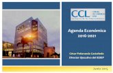 Agenda Económica 2016-2021 - inei.gob.pe · PDF fileJunio 2015 César Peñaranda Castañeda Director Ejecutivo del IEDEP Agenda Económica 2016-2021
