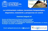 La Leishmaniasis cutánea: mecanismo fisiopatológico ...ciencias.bogota.unal.edu.co/fileadmin/content/gruposdeinvestigac... · Casos de Leishmaniasis en Colombia Promedio 2005-2015: