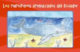 Los mamíferos amenazados del Ecuadoreditorial.murcielagoblanco.com/images/pdf/Losmamiferosamanazados... · y pezuñas para utilizarlas como medicina o remedios afrodisíacos. Danta