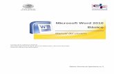 Microsoft Word 2010 Básico · PDF fileMicrosoft Word 2010 Básico Manual del usuario Consejo de la Judicatura Federal Secretaría Ejecutiva de Obra, Recursos Materiales y Servicios