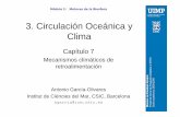 3. Circulación Oceánica y Clima - IMEDEAimedea.uib-csic.es/master/cambioglobal/Modulo_I_cod101601/clases... · >0 sobre T-La estabilidad local de T lo ... donde son más eficientes