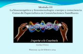 Módulo III La bioenergética y fenomenología: cuerpo y ... · PDF fileLa bioenergética y fenomenología: cuerpo y consciencia ... un tipo de carácter diferente ya sea esquizoide,