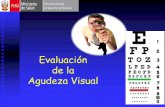 EVALUACION DE LA AGUDEZ VISUAL - rehueong.com.ar visual.pdf · EVALUACION DE LA AGUDEZA VISUAL Es considerado como un indicador trazador del estado de salud ocular de un individuo.