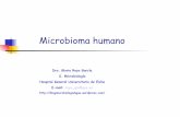 Dra. Gloria Royo García S. Microbiología Hospital General ... · PDF file• En surcos gingivodentales y cripatas amigdalares puede haber bacterias anaerobias estrictas • Cocos
