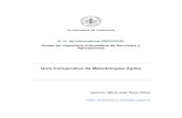 Guía Comparativa de Metodologías Ágiles - uvadoc.uva.esuvadoc.uva.es/bitstream/10324/1495/1/TFG-B.117.pdf · Scrum ..... 19 Actividades de la metodología Scrum ..... 20 Roles