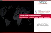 Yacimiento Valle Hermoso. - · PDF file... 0.35 –0.37 psi/ft 750 950 1150 1350 1550 1750 1950 ... 8 a 10 ppg • Utilización del ... • Incrementos de presiones Netas de 350 a