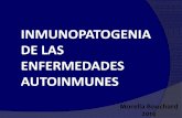 INMUNOPATOGENIA DE LAS ENFERMEDADES · PDF fileglomerulonefritis con HLA-DQ1. •Los niveles de TNFαse correlacionan con el fenotipo DR DR2: bajos ... Targeting the B-Cell Pathway