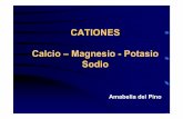 CATIONES Calcio–Magnesio-Potasio · PDF filey de los procesos de meteorización y lixiviación ... • Problema de competencia con otros iones por absorción • Proceso pasivo Translocación