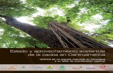 Estado y aprovechamiento sostenible de la caoba en …globaltrees.org/wp-content/uploads/2008/07/Mahogany... ·  · 2014-07-25Fauna & Flora International (FFI), fundada en 1903 y