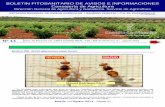 MOSCA DEL OLIVO (Bactrocera oleae Gmel.) - …crea.uclm.es/siar/noticias/pdf/Boletin112013.pdfLos tratamientos se realizarán con productos fitosanitarios autorizados para el cultivo
