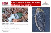 Insectos transmisores de Xylella fastidiosa y su controlfitos.iqs.edu/documentacion/files/JordiSabate(1).pdfalmendro Pauca Brasil,Paraguay, Argentina, ... (manejo del cultivo y alrededores)