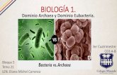 Dominio Archaea Y Dominio Eubacteria.