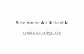 Base molecular de la vida - Bachillerato – Ciencias · PDF fileBioelementos •Los principales elementos químicos que componen la materia viva se denominan bioelementos (los principales