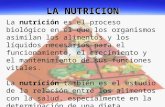 [PPT]LA NUTRICIÓN · Web viewLA NUTRICION La nutrición es el proceso biológico en el que los organismos asimilan los alimentos y los líquidos necesarios para el funcionamiento,