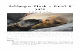 45.33.118.15345.33.118.153/destinos/ecuador/2018/Galapagos hotel y …  · Web viewLas islas volcánicas son el hogar de un número de diferentes animales - animales ... Recepción