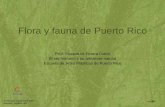 Flora y fauna de Puerto Rico - CITAcita.eap.edu/moodle/pluginfile.php/1732/mod_resource/content/2/Ser... · Flora y fauna de Puerto Rico • Susana M. Rivera Colón Introducción