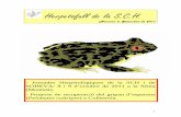 Herpetofull de la S.C.H. - · PDF file1 Herpetofull de la S.C.H. Número 3. Setembre de 2011 - Jornades Herpetològiques de la SCH i de SOHEVA: 8 i 9 d’octubre de 2011 a la Sénia