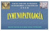 FACULTAD DE ESTUDIOS SUPERIORES CUAUTITLÁN …patogfesc.weebly.com/uploads/6/9/4/8/69488793/inmunopatologia01.pdf · Estimula la inflamación y la producción de citoquinas por muchos