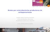 Brotes por enterobacterias productoras de … por enterobacterias productoras de carbapenemasas Joaquín López-Contreras González Unitat de Malalties Infeccioses Hospital de la Santa