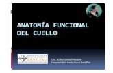 Anatomía funcional del cuello -  · PDF fileANATOMÍA FUNCIONAL DEL CUELLO Dra. Esther Granell Moreno Hospital de la Santa Creu i Sant Pau