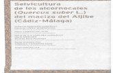 macizo del aljibe - · PDF fileRESUMEN En este trabajo se presenta un modelo selvícola propuesto para las masas de alcornocal del Macizo del Aljibe (Cádiz-Málaga). Se ajustaron