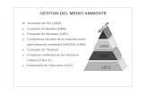 GESTION DEL MEDIO AMBIENTE - icicm. · PDF fileEVALUACION DEL DESEMPEÑO AMBIENTAL ...Sistemas de Gestión Ambiental? Normas ISO 14001 ... Evaluación del comportamiento ambiental.?