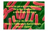 Bacterias para el medio ambiente: de la …pdg.cnb.uam.es/pazos/cursos/bionet_UAM/VLorenzo_doc...Bacterias para el medio ambiente: de la Bioremediación a la Biología Sintética Víctor