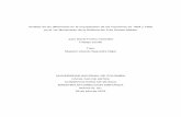 Análisis de las diferencias en la orquestación de las ... · PDF fileAnálisis de las diferencias en la orquestación de las Versiones de 1904 y 1906 en el 1er Movimiento de la Sinfonía