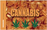 Información - El portal de Energy Controlenergycontrol.org/files/pdfs/Cannabis_ok.pdf · La planta del cánnabis sativa, de la que se extrae la marihuana y el hachís, es la sustancia