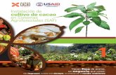 de aroma, fino Cacao que crece: negocio Instalación de ...pdf.usaid.gov/pdf_docs/PA00JFQ8.pdf · Instalación de cultivo de cacao en Sistemas Agroforestales (SAF) Cacao fino de aroma,