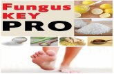 Fungus Key Profungus-key-protocol.net/products/Fungus_Key_Pro.pdf · Fungus Key Pro 3 I. – Yo soy el Dr. Wu Chang y soy el autor de Fungus Key PRO. Ante todo, quisiera felicitarte