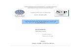 UNIVERSIDAD ESTATAL A DISTANCIA - Repositorio de …repositorio.uned.ac.cr/.../120809/800/1/Administraciondecarreteras.pdf · • Índices combinados para evaluar el pavimento en