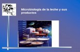 Microbiología de la leche y sus productoss58669cd9b381f673.jimcontent.com/.../name/MICROBIOLOGIA_DE_L… · Importancia de los microorganismos presentes en la leche Participan en