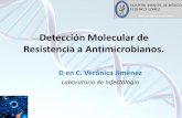 Detección Molecular de Resistencia a · PDF filemecanismos para evadir el efecto de los antibióticos a los cuales eran previamente susceptible. La Resistencia ... moleculares . Epidemiología