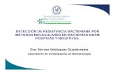 DETECCIÓN DE RESISTENCIA BACTERIANA POR …himfg.com.mx/descargas/documentos/epidemiologia/resistenciabac.pdf · MÉTODOS MOLECULARES EN BACTERIAS GRAM POSITIVAS Y NEGATIVAS. Dra.