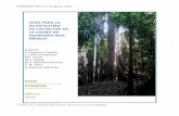 GUÍA PARA LA SILVICULTURA DE LAS SELVAS DE LA … … · La guía ofrece un planteamiento para la silvicultura de las selvas de Quintana Roo en las que se encuentra creciendo la