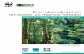 Plan silvicultural en unidades de manejo forestalawsassets.panda.org/downloads/plansilvicultural.pdf · Al Centro Agronómico Tropical de Investigación y Enseñanza (CATIE), por