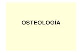 OSTEOLOGÍA - cpu.usmp.edu.pe€¦ · – Huesos de la cara (14) – Huesecillos del oído (6) ... Centro hematopoyético , en la corteza esponjosa de algunos huesos, se localiza