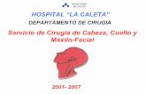 Servicio de Cirugía de Cabeza, Cuello y Máxilo-Facialcesarejacome.wikispaces.com/file/view/(TEORIA)+GLAN… ·  · 2009-10-24del masetero, acompañado por ramas del nervio facial