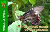 EL MARAVILLOSO MUNDO DE LAS MARIPOSAS pdf“N El manual el “Maravilloso mundo de las mariposas” pretende llenar un vacío en el conocimiento de nuestra biodiversidad, específicamente