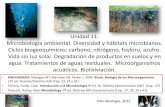 Unidad 11: Microbiología ambiental. Diversidad y hábitats ... 11 Micro... · Riqueza Microbiana: Número total de especies presentes diferentes Abundancia de especies: es la proporción