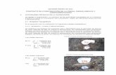 CONTRATO DE CONSTRUCCIÓN DE LA PRESA, …misicuni.gob.bo/construccion-presa/informe-de-obra-enero-2011.pdf- Control de estacado y marcación del corte talud para banquina de cota
