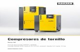 Compresores de tornillo - ar.kaeser.comar.kaeser.com/m/Images/P-651-10-AR-tcm322-6761.pdf · Serie SK Con el reconocido PERFIL SIGMA Caudal desde 0,53 hasta 2,70 m³/min, presión