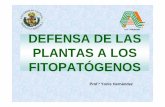 DEFENSA DE LAS PLANTAS 2 - ucv.veucv.ve/.../Fitopatologia/Defensa_de_Plantas_2010.pdf · elicitor a su receptor activa una respuesta de defensa en la célula vegetal. ... Las plantas